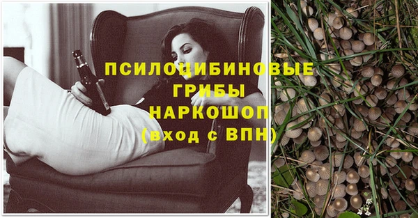героин Заводоуковск