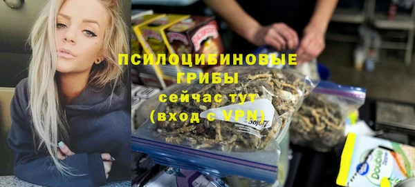 соль ск Заволжье