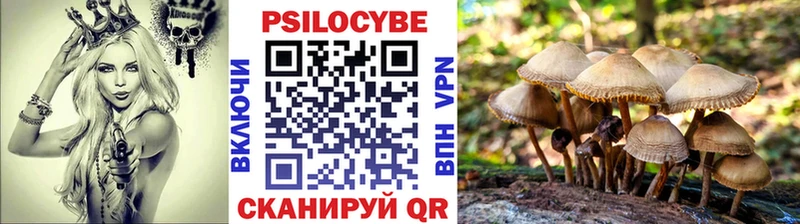 OMG ТОР  даркнет формула  Псилоцибиновые грибы Cubensis  Туран 